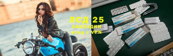 молекула духа Беломорск