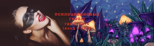 молекула духа Беломорск