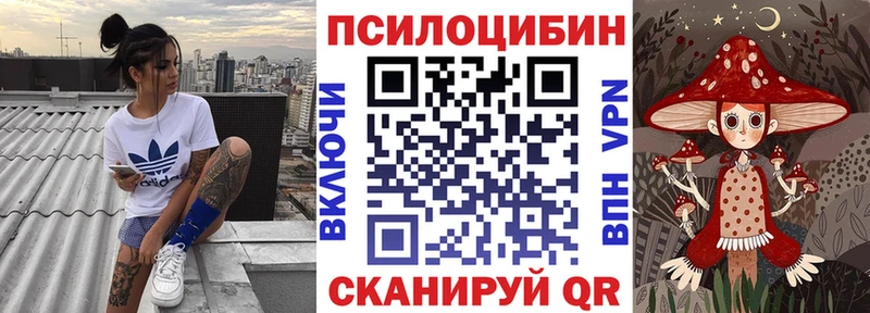 Псилоцибиновые грибы GOLDEN TEACHER  KRAKEN ссылки  Макаров 