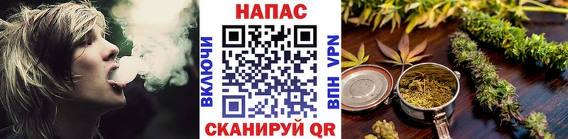 Бошки Шишки ГИДРОПОН  Макаров 